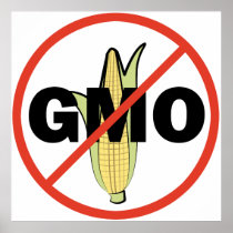 No GMO Poster
