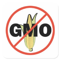 No GMO Square Sticker