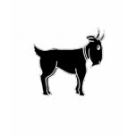 No Goats No Glory