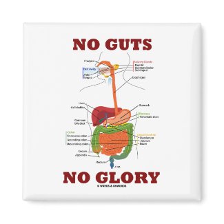 No Guts No Glory (Digestive System Anatomy Humor) magnet