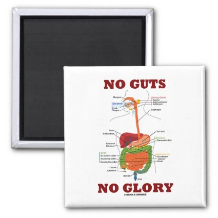No Guts No Glory (Digestive System Anatomy Humor) Magnet