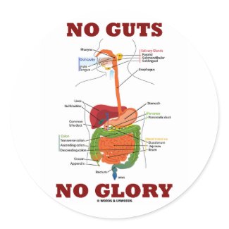 No Guts No Glory (Digestive System Anatomy Humor) sticker