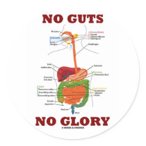 No Guts No Glory (Digestive System Anatomy Humor) Round Sticker