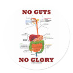 No Guts No Glory (Digestive System Anatomy Humor) stickers