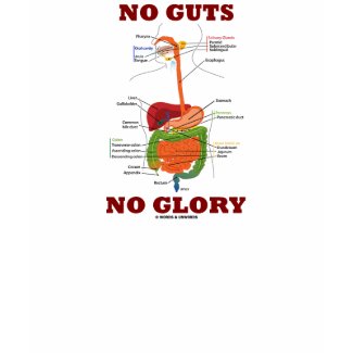 No Guts No Glory (Digestive System Anatomy Humor) shirt