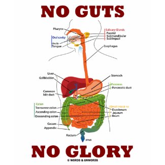 No Guts No Glory (Digestive System Anatomy Humor) shirt
