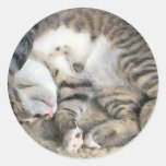 No hago diseño del gatito de las mañanas pegatina redonda
