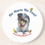 No Harm No Fowl Bird Dog Coasters