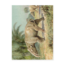 No higher resolution available. Paleomastodon.jpg  postcards