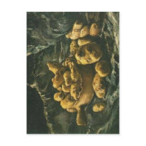 No higher resolution available. Tontopf-Kartoffeln Postcard