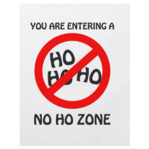 no ho zone full color flyer
