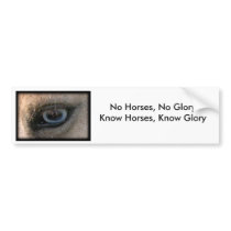 No Horses, No Glory - Bumper Sticker bumper stickers by tkmstable No Horses, No Glory - Bumper Sticker bumper stickers
