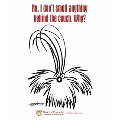 No, I don't smell anything behind the couch. Tee Shirts by CapnChucky