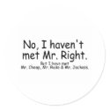 No I Havent Met Mr Right But I Have Met... stickers