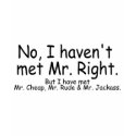No I Havent Met Mr Right But I Have Met... t-shirts