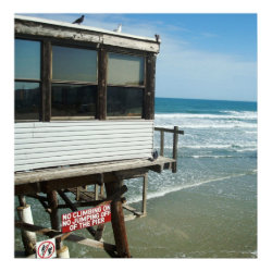 No Jumping Print on Canvas print