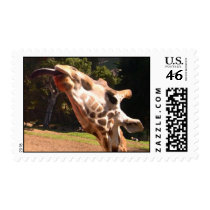 No Licking Required postage