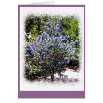 No Longer Alone Greeting Card