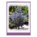 No Longer Alone Greeting Card