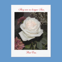 No Longer Two postcards