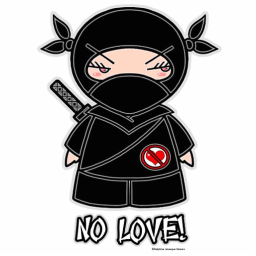 No Love! Ninja Photo Sculpture