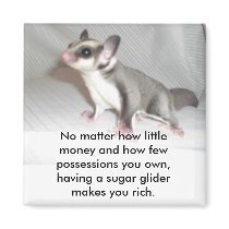 No matter how little money and how fe... magnets by dranger1108 No matter how little money and how fe... magnets