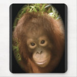 No Monkey Business Mouse Pads