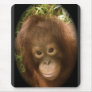 No Monkey Business Mouse Pads