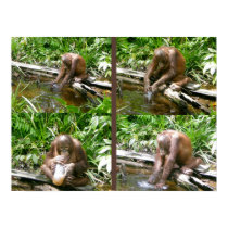 No Monkey Business posters by Rebecca_Reeder No Monkey Business posters