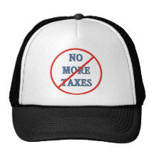 No More Taxes Mesh Hats