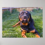 No Need for Brute Force poster