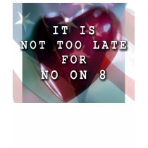 No on 8 T-Shirt