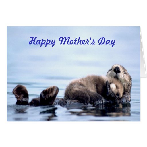 cute-otters-for-mother-s-day-otters-mom-and-baby-sleep-on-flower-field