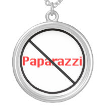 No Paparazzi Necklace necklaces