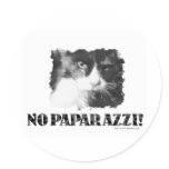 No Paparazzi! Sticker