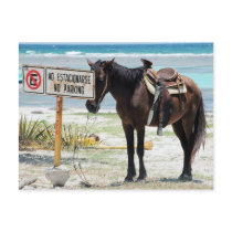 No parking postcards
