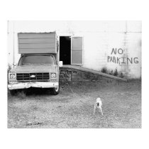 No Parking posters by bhbphotos No Parking posters
