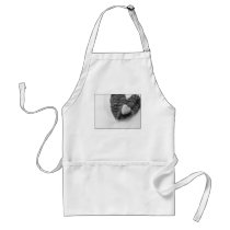 no passion aprons