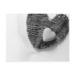 no passion postcard