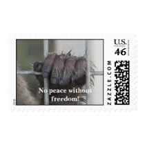 No Peace Without Freedom... postage