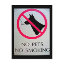 No Pets Postcards by Petcetera No Pets Postcards