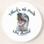 No Place Like Gnome Dog Coasters