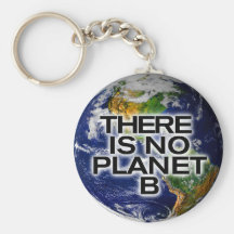 No Planet B Environmental Awareness Key Chain