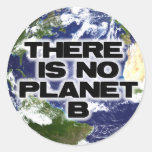 No Planet B Sticker
