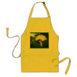 No poison mushrooms on the menu today! apron