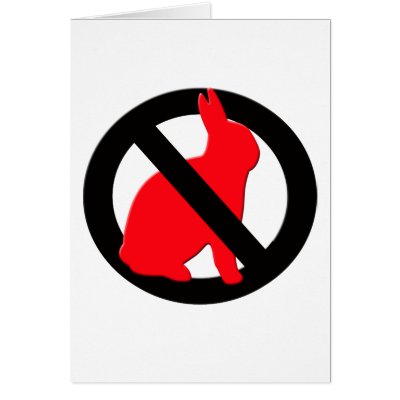 No Rabbits