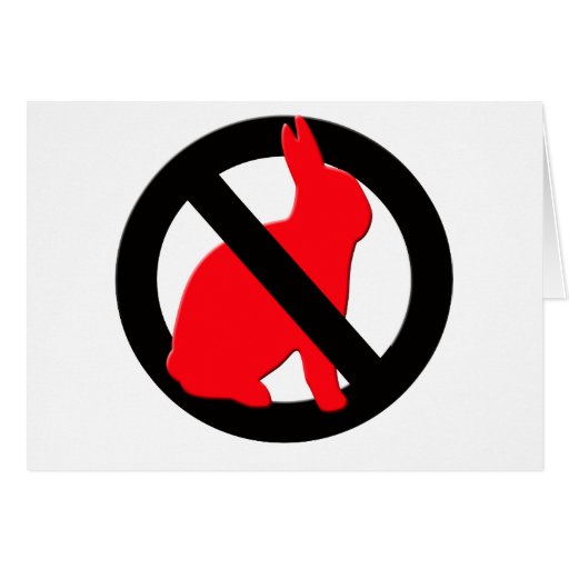 No Rabbits Allowed Card Zazzle