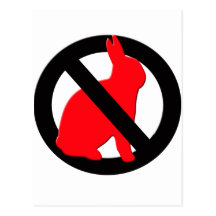 No Rabbits Allowed Post Card