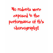 No rodents dark apparel t-shirts