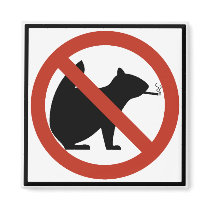 No Smoking Squirrels Allowed Highway Sign Refrigerator Magnet